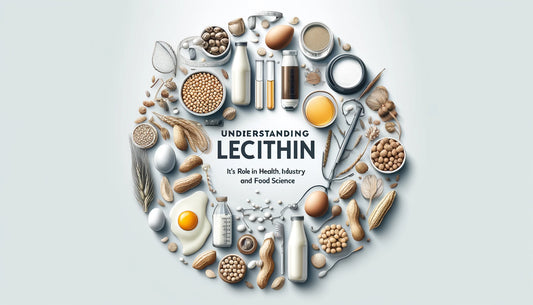 Understanding Lecithin: Its Role in Health, Industry, and Food Science