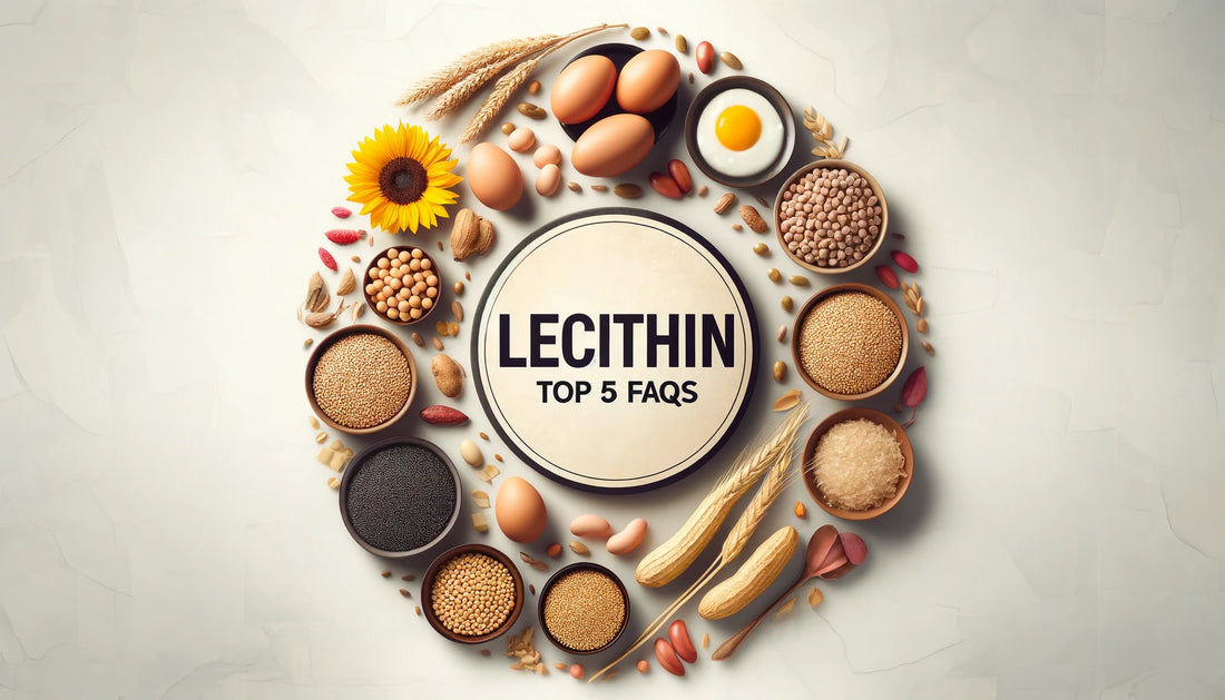 Lecithin: Top 5 Most FAQs